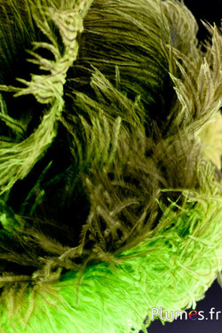Autruche - 30-40 cm - gris naturel-lime